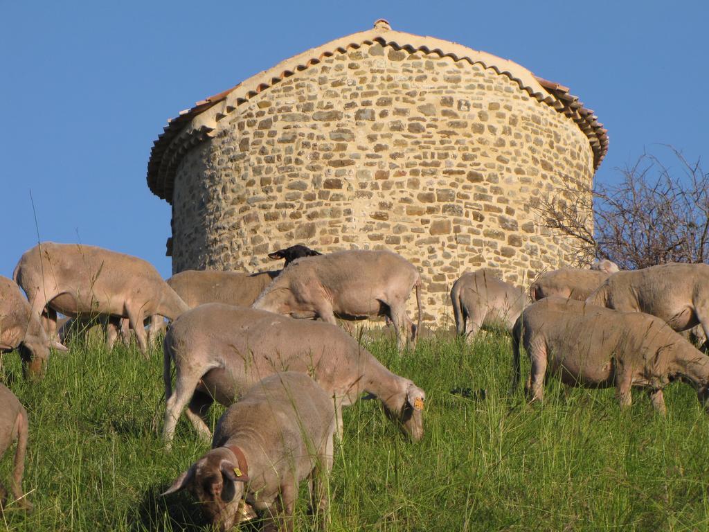 Holiday home Du Cladan *